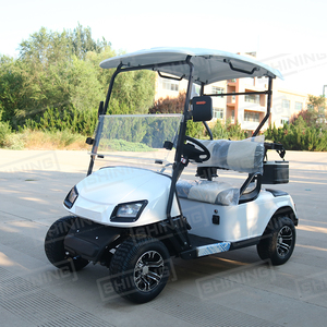 Shininglsv giá rẻ 2 Seate Golf điện giỏ hàng để bán bạn thân - Product Image 2