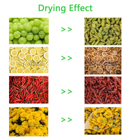Séchoir à vapeur pour fruits, légumes, épices, citrouille, kaki, safran, poivre, capacité de 500 à 2000kg