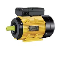 Moteur électrique asynchrone monophasé série YC YL, 110V 220V 10kW 3000 tr/min, enroulement 100% cuivre, boîtier en fonte/aluminium