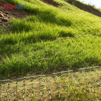 Geomalla de Refuerzo para Césped 3D de Alta Resistencia, Ideal para Proyectos de Protección de Taludes, Más Económica que las Estructuras Tradicionales de Riprap