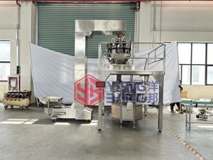 YB-210 Machine d'emballage de chips de fraise de banane séchée et de fraise de sac pré-fabriqué multifonction entièrement automatique - Product Image 2