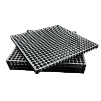 Cella di drenaggio in erba verticale in plastica HDPE 30mm <span class=keywords><strong>per</strong></span> giardino pensile, terreno di gioco, cortile, terrazzo paesaggistico sistema di ponti - Product Image 5