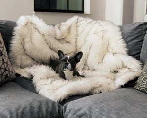 Lit imperméable pour animaux de compagnie, couverture chaude et lavable pour chien et <span class=keywords><strong>chat</strong></span>, tapis de couchage en peluche avec logo personnalisé de qualité supérieure - Product Image 3