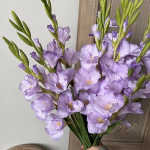 KW-F049 Fiore Artificiale <span class=keywords><strong>di</strong></span> Gladiolo Viola <span class=keywords><strong>di</strong></span> Alta Qualità a Stelo Singolo per Decorazione Domestica - Product Image 1