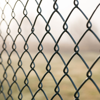 Hete Verkoop Groothandel Fabriek Outdoor Metalen Groen Gaas Hekwerk Ketting Link Mesh
