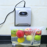 Purificateur d'eau à l'ozone multifonctionnel pour la cuisine, nettoyeur d'eau pour fruits, légumes et viande, purificateur d'eau, purificateur d'ozone 600 mg