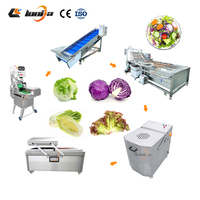 Industriële salade snijmachine van roestvrij staal SUS304, kleine salade wasmachine, kleine salade verwerkingslijn