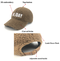 Sombreros de béisbol de lana de 6 paneles de moda personalizada, gorra deportiva lisa de felpa de peluche de Invierno para mujer