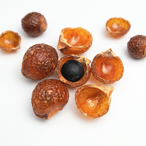 Fabricant de nettoyant pour tissus Soapnut d'Inde - Product Image 1