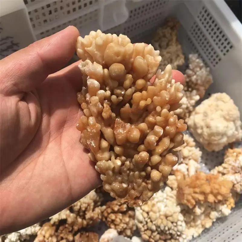 Natuurlijke Kristal Clusters Factory Bulk Groothandel Kleine Quartz Druipsteen Cluster Voor Meditatie