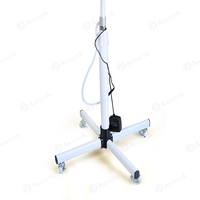 Lámpara Portátil de Blanqueamiento Dental con Altura Ajustable, Máquina de Blanqueamiento Dental con Láser de 10 LED
