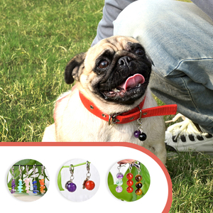 All'ingrosso alla moda perline di pietra naturale e trucioli di cristallo fatto a mano portachiavi con perline per animali domestici per collari per cani e gatti - Product Image 2