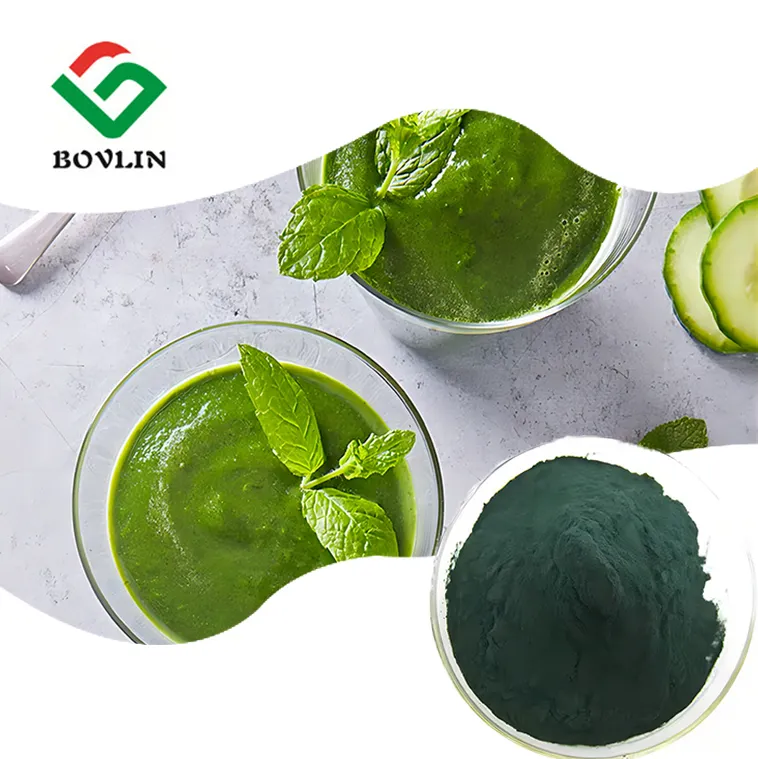 Polvo de extracto de espirulina orgánica verde, venta al por mayor