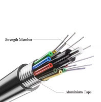 Cable de Fibra Óptica GYTS de 12, 24, 48, 96 Núcleos, G652D, Monomodo, Blindado con Acero Corrugado, para Proyectos FTTH