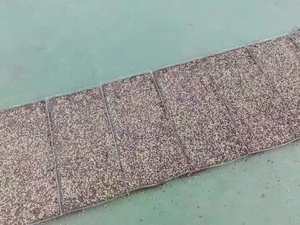 <span class=keywords><strong>Beest</strong></span> qualité Semis En Plastique Plateau de Pépinière - Product Image 6
