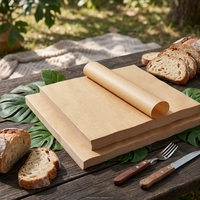 Feuilles de papier sulfurisé prédécoupées, double face, anti-graisse et imperméables, qualité professionnelle, pour friteuse à air, cuiseur vapeur et barbecue