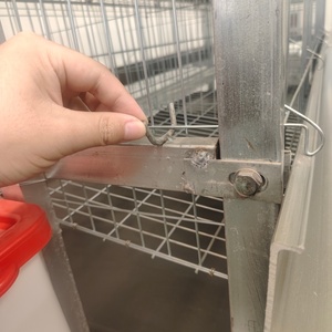 Cage à volailles en treillis métallique galvanisé de type H sur mesure, disponible en OEM - Product Image 5