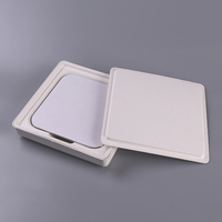 Emballage personnalisé ODM/OEM écologique moderne en pulpe pour tablette, avec insert et plateau en pulpe
