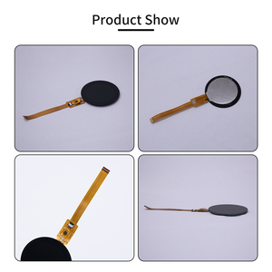 Display LCD TFT Circolare Indossabile da 0,9 1,28 1,6 3,4 3,6 Pollici 1,6'' 400x400 Qspi - Product Image 2