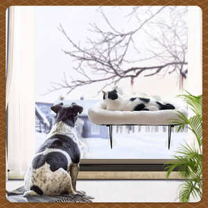 Hamaca para Gatos con Marco Metálico Inalámbrico, Soporte para Ventana, Hamaca Plegable para Gatos de Interior con Colchoneta y 4 Ventosas para Ventana - Product Image 2