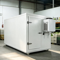 Chambre froide mobile commerciale 2-8°C, refroidisseur automatique à énergie solaire avec télécommande pour l'affichage numérique des boissons et de la bière en magasin