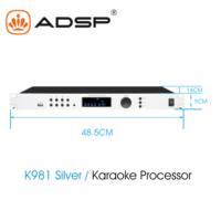 Profesional baru 31 segmen prosesor Audio DSP USB/koaksial // logam konektivitas optik kualitas tinggi untuk rumah/KTV