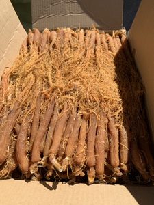 1 kg de Raíces Enteras de Ginseng Rojo Chino - Grado Alimenticio, Certificado <span class=keywords><strong>ISO</strong></span>, Estimulante de Energía para Adultos - Product Image 6