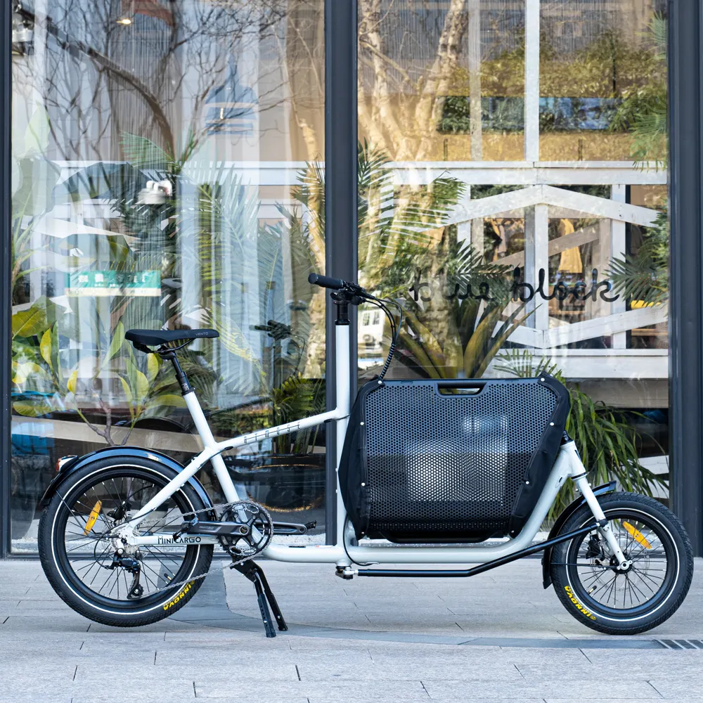 2024 Nieuwste Normale Bakfiets Met Opvouwbare Voormand Verkrijgbaar Met E-Cargo Ebike Normaal Transport Lading E-Bike