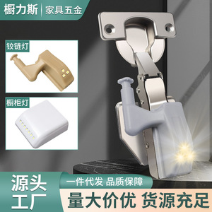 Chulisi LED <b>Hinge</b> <b>Light</b> For Wardrobe Doors And Cabinets AC 85-265V Matte Finish Easy Installation - Product Image 2