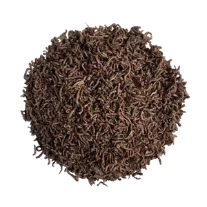 Bloodworm Poisson Alimentaire Comestible Lyophilisé Bloodworm pour Poisson Pet