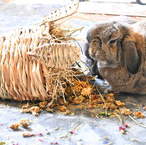 Heno para Rellenar Casas <span class=keywords><strong>de</strong></span> Mascotas, para Conejos y Animales Pequeños - Product Image 3