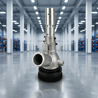 Pistolet de sablage pneumatique Born Machinery 35 mm de diamètre extérieur, hauteur totale 340 mm, en alliage métallique pour l'élimination de la rouille