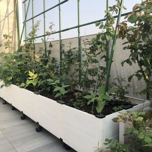 Cage à tomates d'extérieur, treillis pour plantes grimpantes, support pour tomates, concombres, aubergines, légumes végétaux - Product Image 6