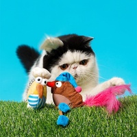 Jouet pour chat en peluche en forme d'oiseau de dessin animé avec queue en plumes, rempli de 100% de catnip, pour chats d'intérieur