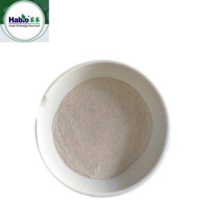 Bột <span class=keywords><strong>Lipase</strong></span> 300,000 U/G Phụ Gia Thức Ăn Trực Tiếp Từ Nhà Máy - Product Image 5