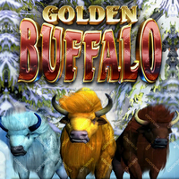 IGS Golden Master Multi Game 3 en 1 Power Force Phoenix PC Vidéo verticale Golden Fortune Buffalo Skill Game Carte mère