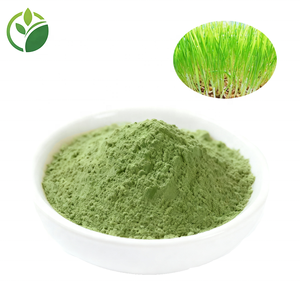 थोक मूल्य प्राकृतिक पानी में घुलनशील कार्बनिक गेहूं के रोपाई पाउडर गेहूं जौ घास का रस पाउडर गेहूं घास पाउडर - Product Image 2