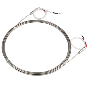 Sonda Termocoppia MICC Pt100 ad <span class=keywords><strong>Alta</strong></span> <span class=keywords><strong>Temperatura</strong></span> 1200°C Tipo K in Acciaio Inossidabile, Precisione 0.1, Personalizzabile OEM/ODM - Product Image 3