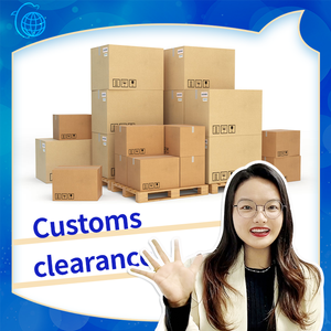 저렴한 LCL + 특급화물 운송업자 물류 서비스 중국 모리셔스 배송 대리인에게 - Product Image 6