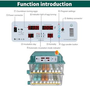 Incubadora automática de huevos de codorniz y pollo 120, monitores de humedad, Candler de huevos, 5 modos de incubación para el <span class=keywords><strong>día</strong></span> de incubación de huevos de codorniz y pollo - Product Image 6