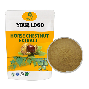 ผงสารสกัดจากแผงคอสิงโตพร้อมถ้วยสารสกัดจากแผงคอสิงโต20:1 10:1แคปซูล - Product Image 3