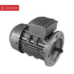 Vente Flash : Moteur à Induction CA Série Y2 Direct Usine 631-4/0.12KW, Réducteur de Moteur Triphasé 631-4/0.12KW - Product Image 6