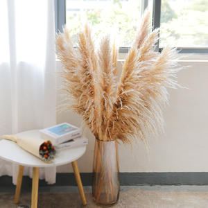 Plumas de Pampas Artificiales Naturales, Secas, Pequeñas, Grandes y Altas, Estilo Boho, para Arreglos Florales de Boda y Decoración del Hogar - Product Image 2