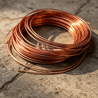 Fil de cuivre rouge massif émaillé, fil de terre en cuivre 10 mm, recuit, étiré à froid, 99 % Cu, pour usage industriel de soudage, JYT-1220 Shandong