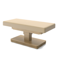 Table de soin électrique réglable à colonne unique de style moderne CNF pour tatouage, esthétique et spa, idéale pour salon, en bois