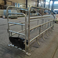 Cage de mise bas économique pour truies 2,2*0,7m, lit simple pour truies, positionnement des truies, ferme d'élevage avec abreuvoir en acier inoxydable en option