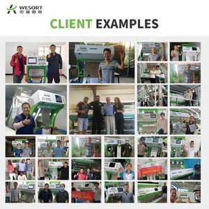 Wesort nhà sản xuất 6sxz-68l nhà máy Giá cà phê Cherry đậu nành CCD mini hạt giống màu SORTER máy hạt màu phân loại máy - Product Image 6