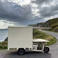 Chariots alimentaires et camions de restauration rapide mobiles multifonctionnels personnalisés par le fabricant pour un service pratique.