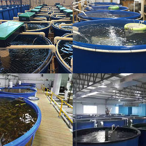 Vente chaude : Grands réservoirs à poissons cylindriques en plastique pour l'élevage de poissons, adaptés à l'eau de pluie et à l'eau de mer - Product Image 6