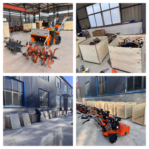 Trituratore d'erba commerciale/industriale automatico <span class=keywords><strong>da</strong></span> 8HP 178F con avviamento elettrico, lama <span class=keywords><strong>da</strong></span> 60cm e alta produttività per <span class=keywords><strong>giardino</strong></span> - Product Image 6